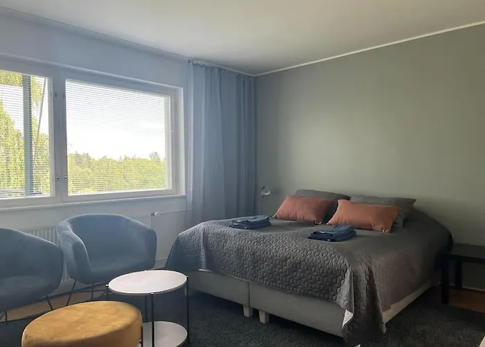 Studiohuoneisto Liisankatu Апартаменты *